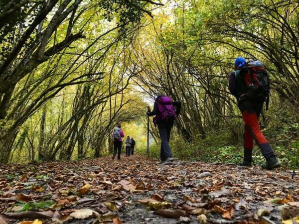INAUGURAZIONE CAMMINO DI ASSISI: escursione guidata all’Eremo di Montepaolo