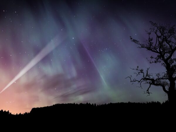 ESCURSIONE SERALE CON OSSERVAZIONE DELLE STELLE