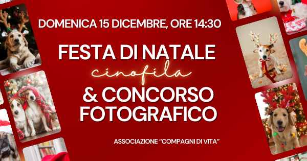 Festa di Natale CINOFILA e 13° concorso fotografico