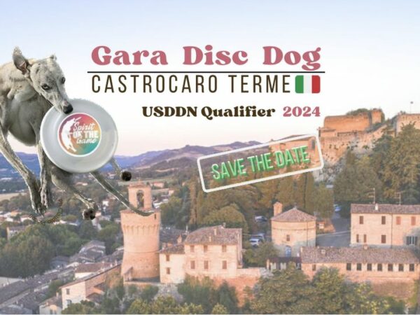 GARA DISCDOG