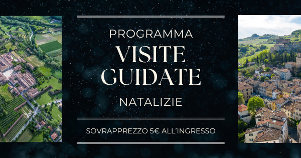 VISITE GUIDATE DI NATALE
