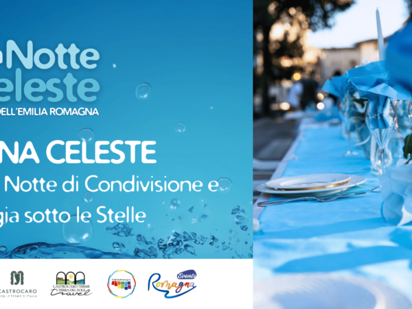 Cena Celeste: Una Notte di Condivisione e Magia sotto le Stelle