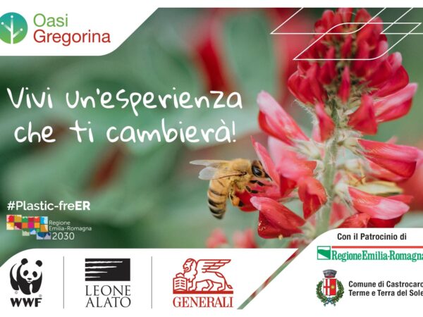 Oasi Gregorina affiliata WWF: Vivi un’esperienza che ti cambierà!