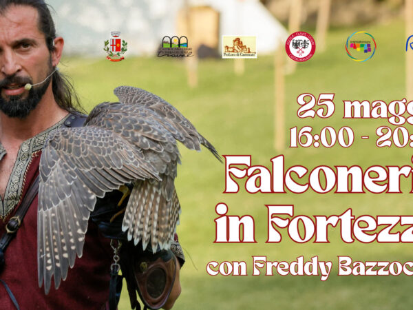 Falconeria in Fortezza con Freddy Bazzocchi